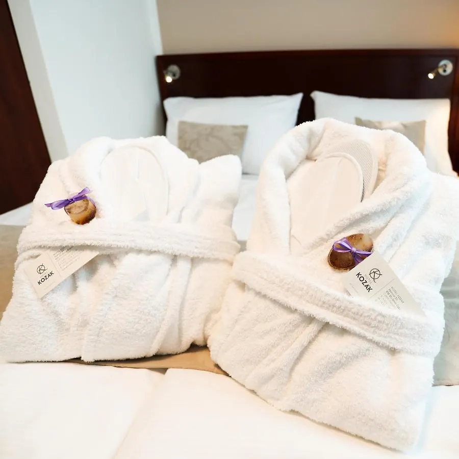 Hotel Kozak ブルノ